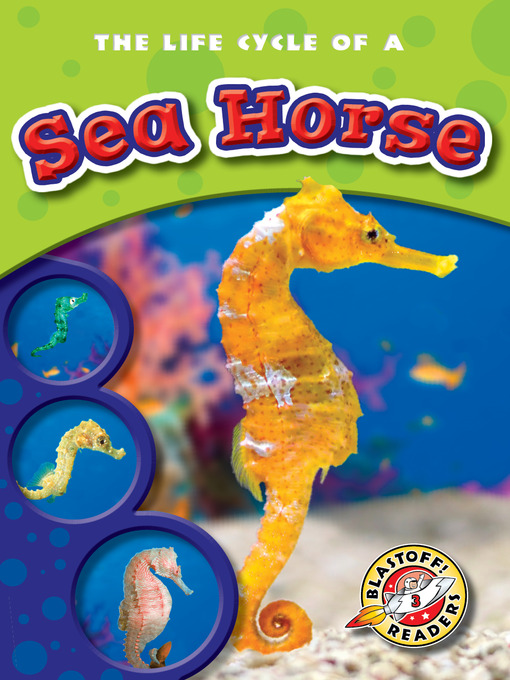 Title details for The Life Cycle of a Sea Horse by Colleen Sexton - Wait list